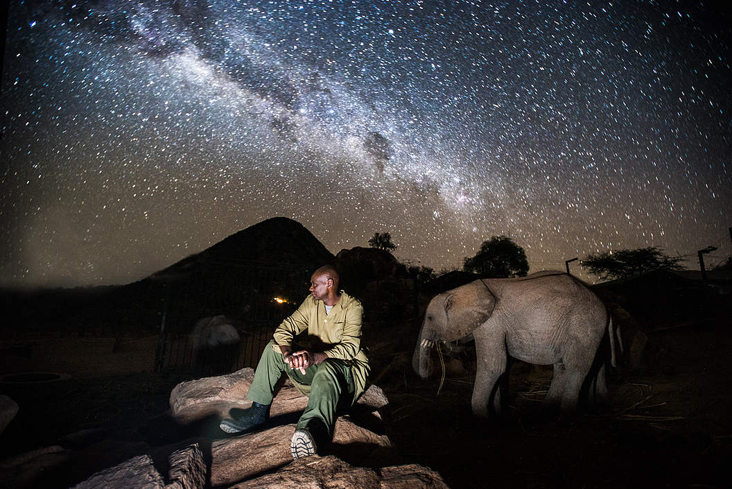 Things to do in Nairobi National Park Kenya